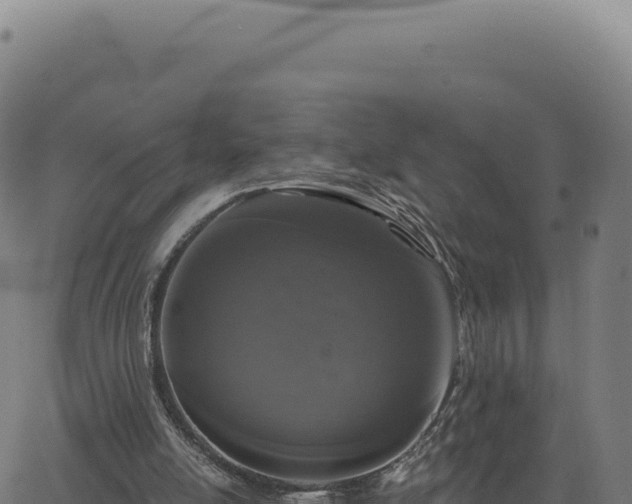 X0000062860054200601201739