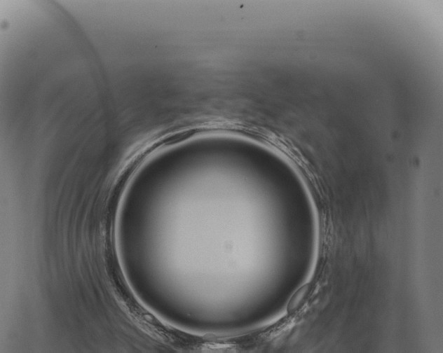 X0000062860055200601201739