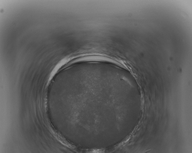 X0000062860056200601201739