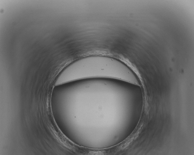 X0000062860057200601201739