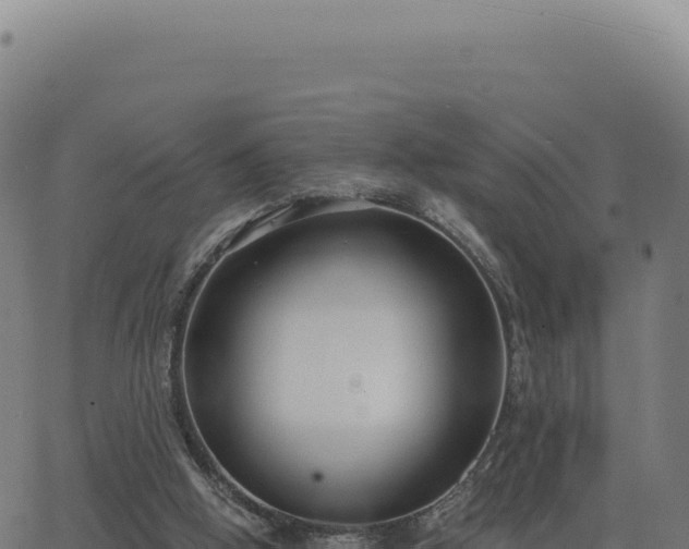 X0000062860058200601201739