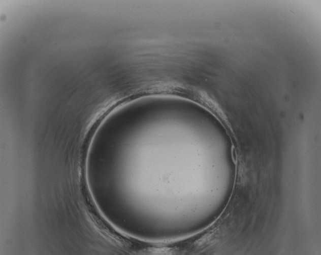 X0000062860059200601201739