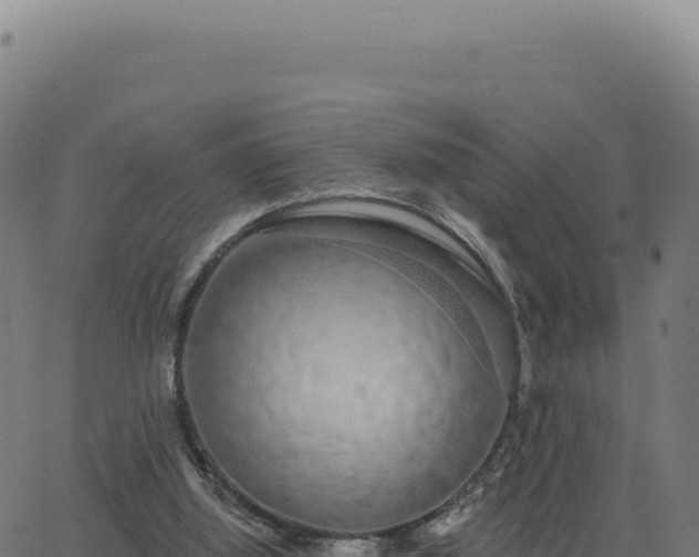 X0000062860060200601201739