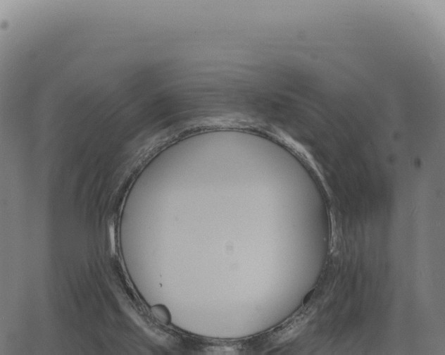 X0000062860061200601201739