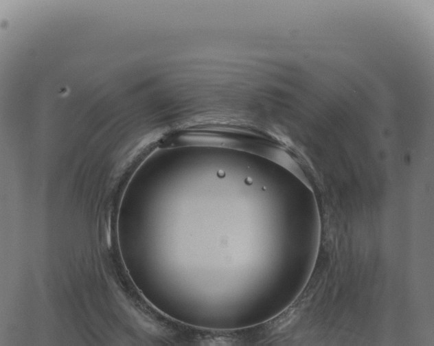 X0000062860062200601201739