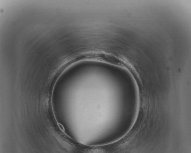 X0000062860063200601201739