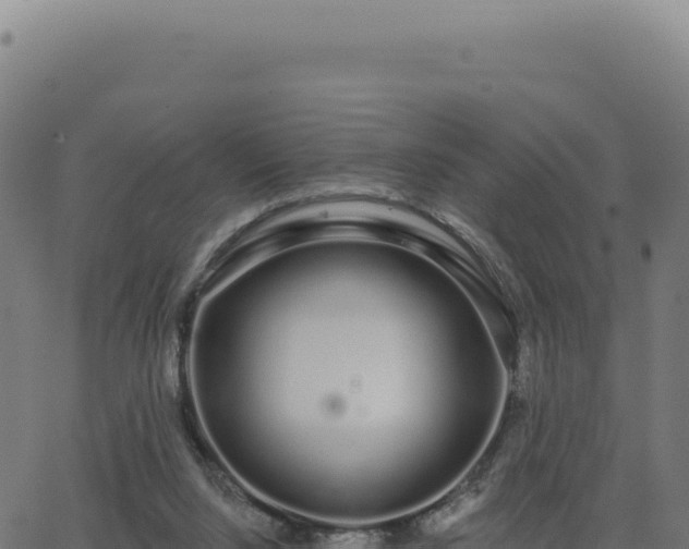 X0000062860064200601201739