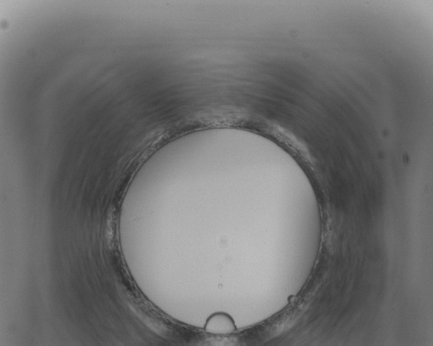 X0000062860065200601201739