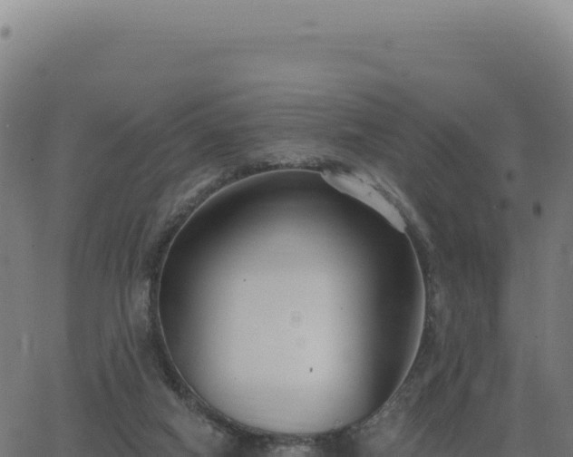 X0000062860066200601201739