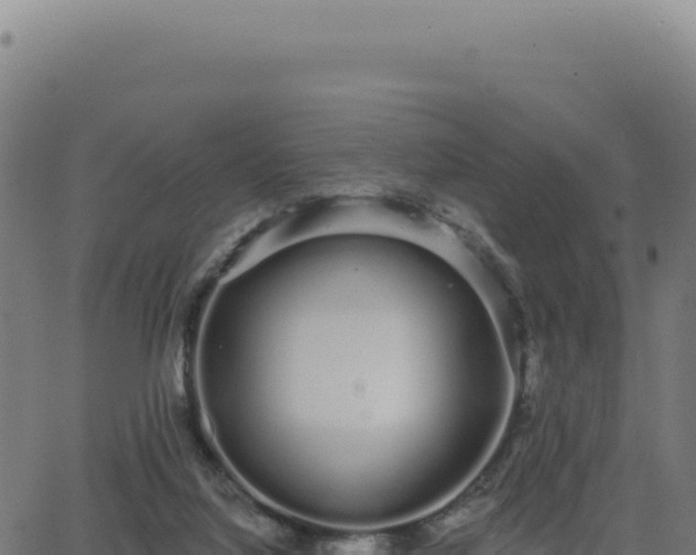 X0000062860068200601201739