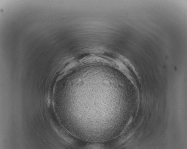 X0000062860069200601201739