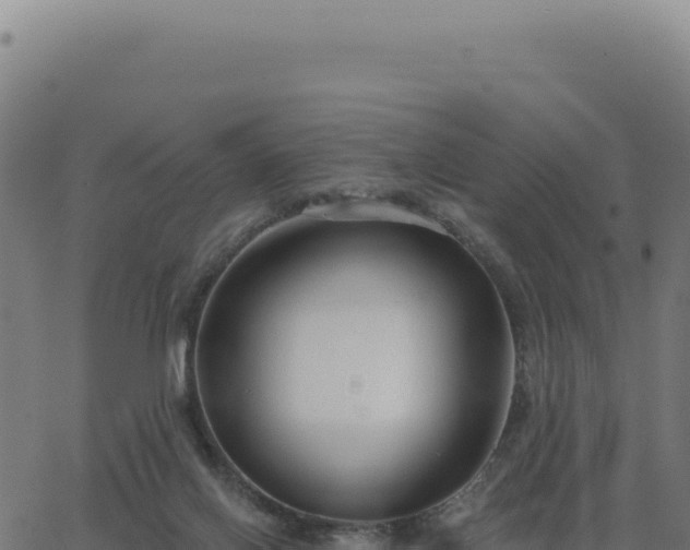 X0000062860070200601201739