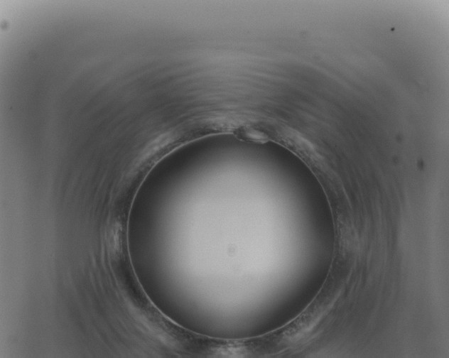 X0000062860071200601201739