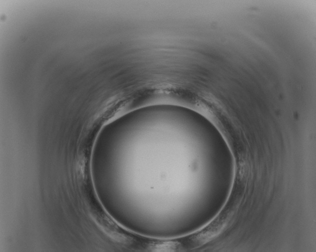 X0000062860072200601201739