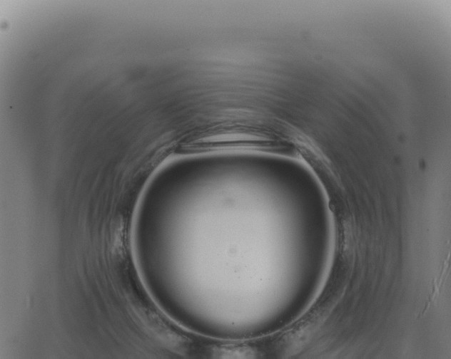 X0000062860073200601201739