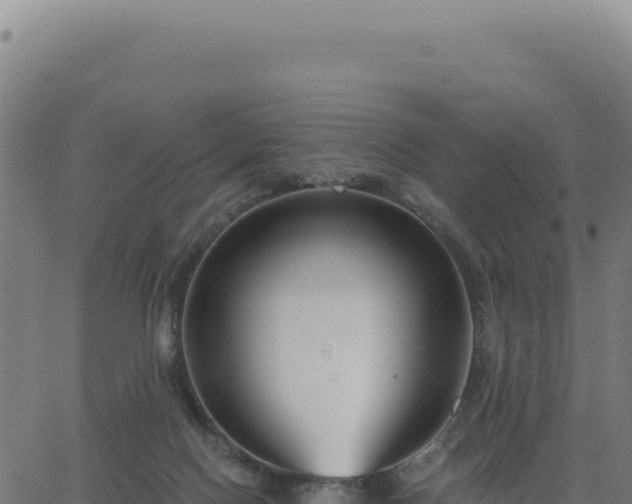 X0000062860074200601201739