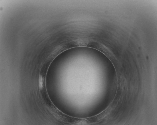 X0000062860075200601201739