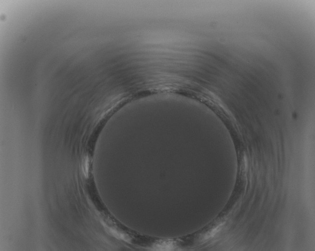 X0000062860076200601201739