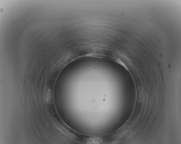 X0000062860077200601201739