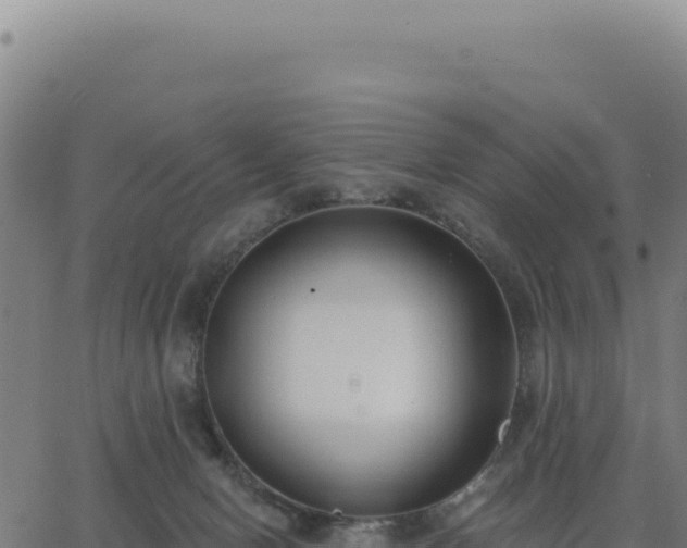 X0000062860078200601201739