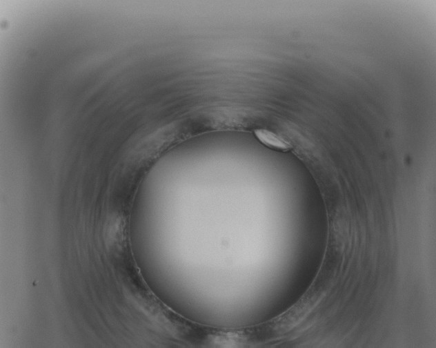 X0000062860079200601201739