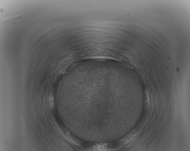 X0000062860080200601201739