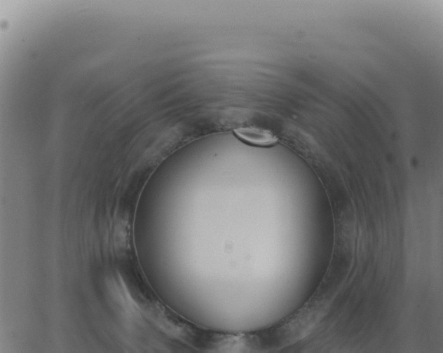 X0000062860083200601201740