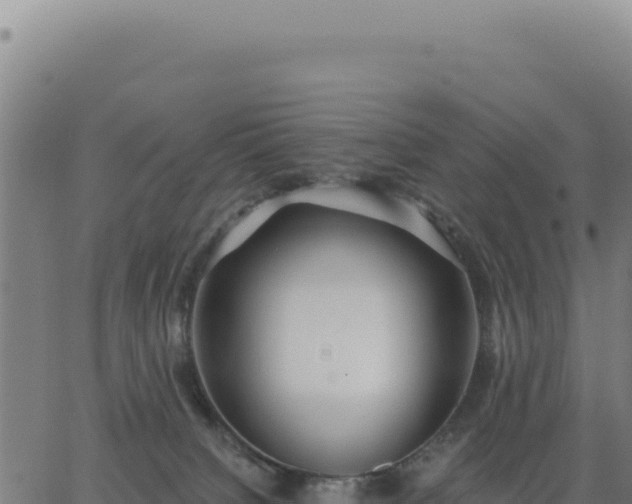 X0000062860084200601201740