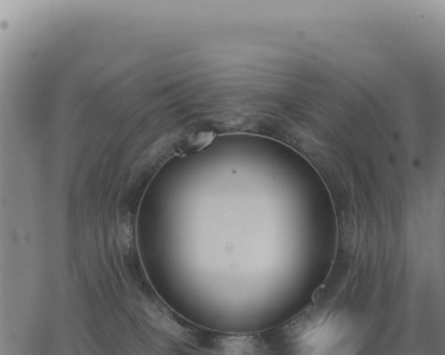 X0000062860085200601201740