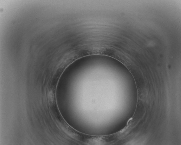 X0000062860086200601201740