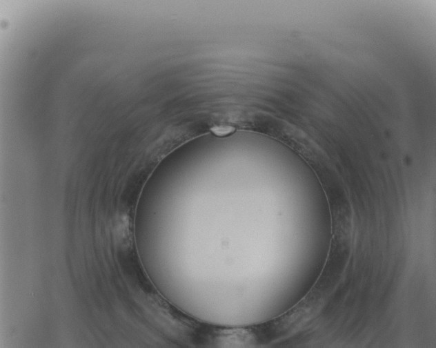 X0000062860087200601201740