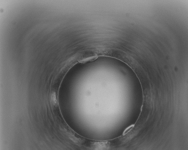 X0000062860089200601201740