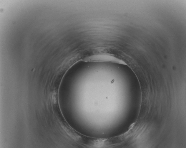 X0000062860090200601201740