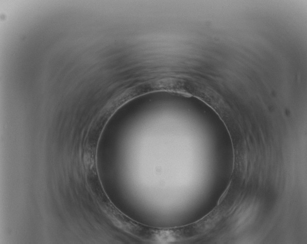 X0000062860091200601201740