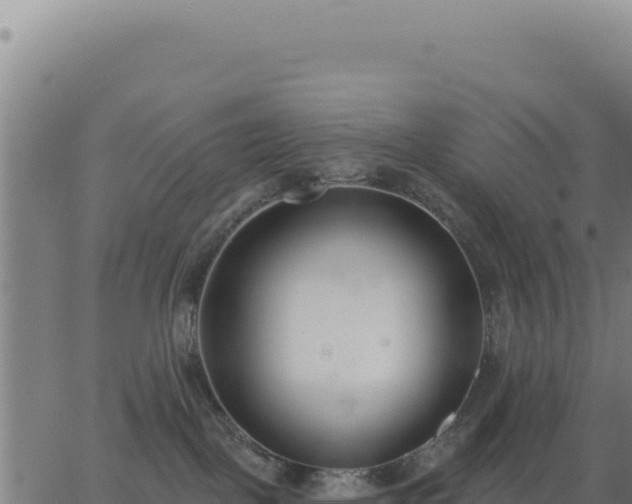 X0000062860093200601201740