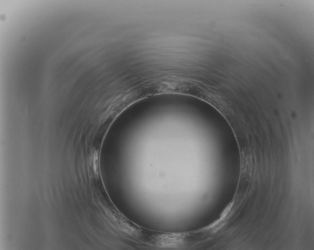 X0000062860094200601201740