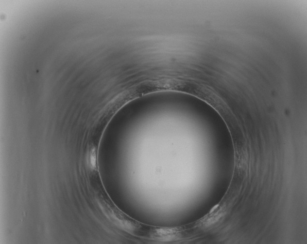 X0000062860095200601201740