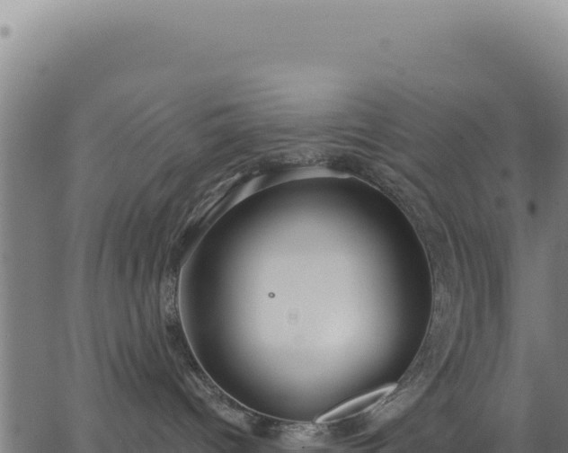 X0000062860096200601201740