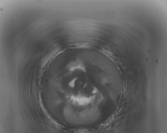 X0000062860097200601201739