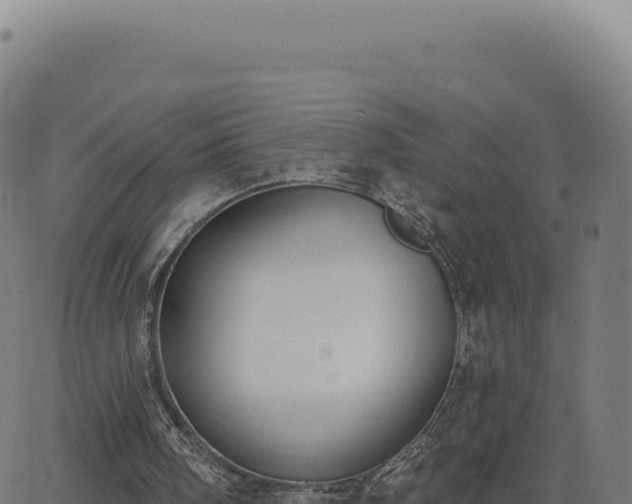 X0000062860098200601201739