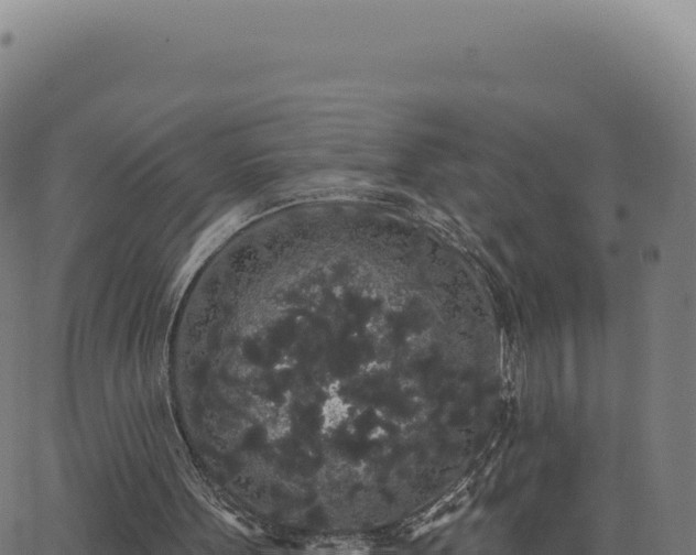 X0000062860099200601201739