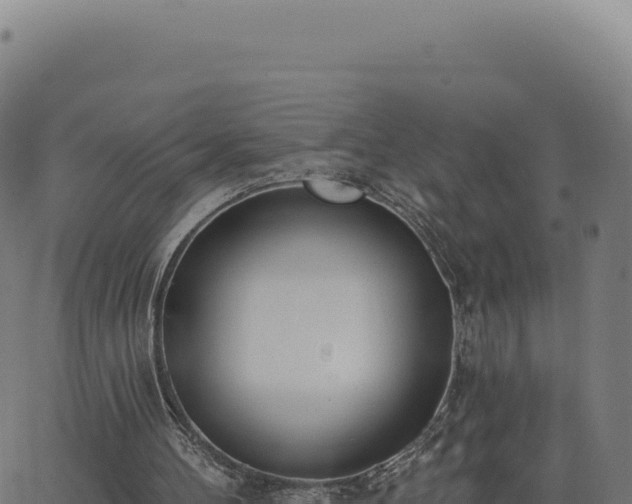 X0000062860100200601201739