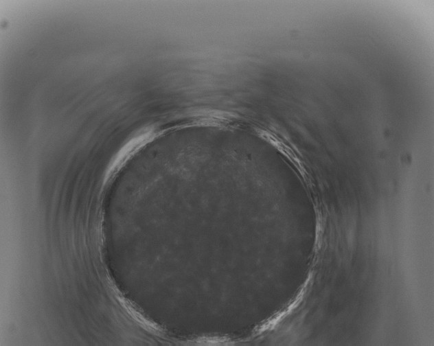 X0000062860101200601201739