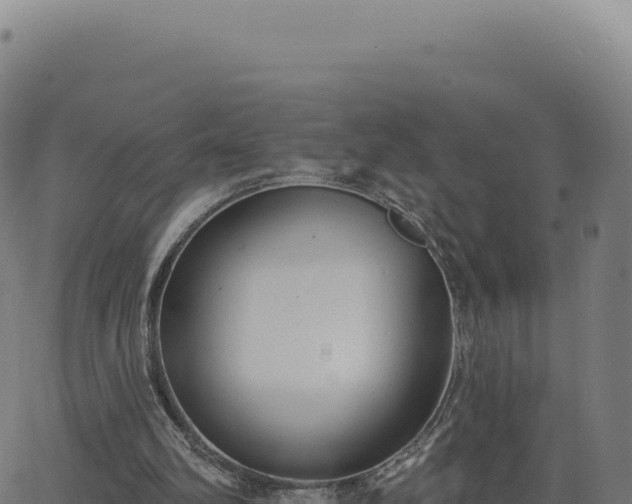 X0000062860102200601201739