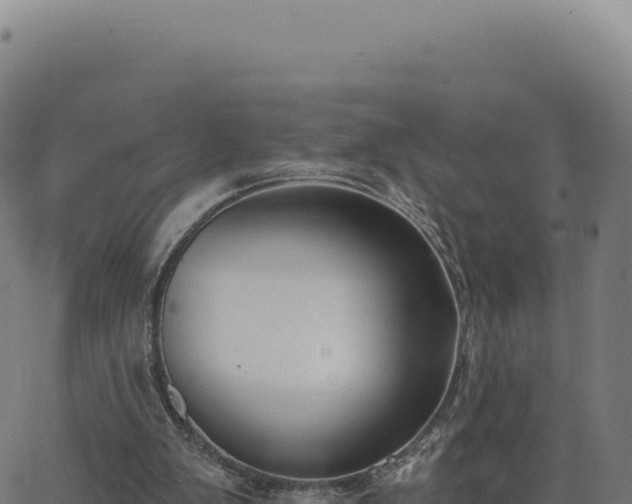 X0000062860103200601201739