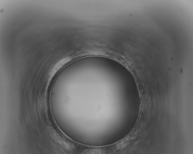 X0000062860104200601201739