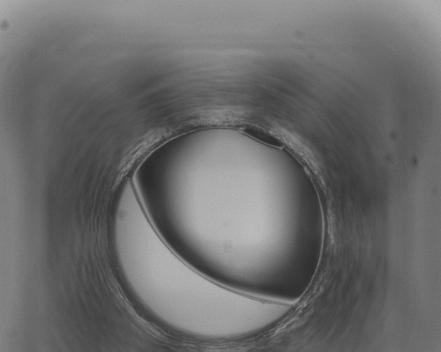 X0000062860105200601201739