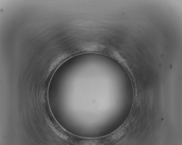 X0000062860106200601201739