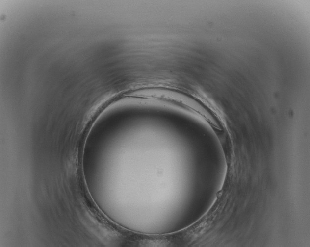 X0000062860107200601201739