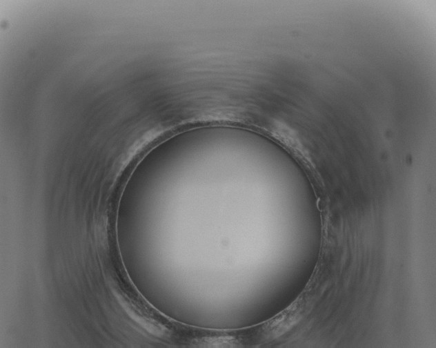 X0000062860108200601201739